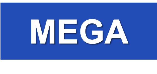 Mega Inversiones Nacionales